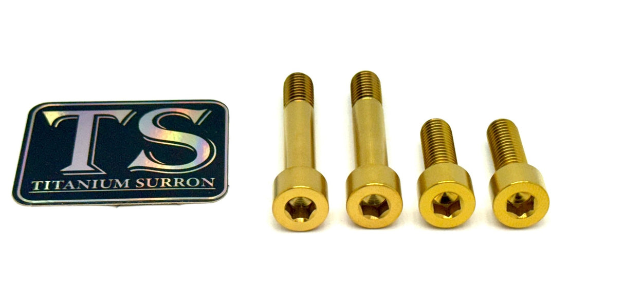 Titanium Motor Bolts - E-Ride Pro ERP SS and S