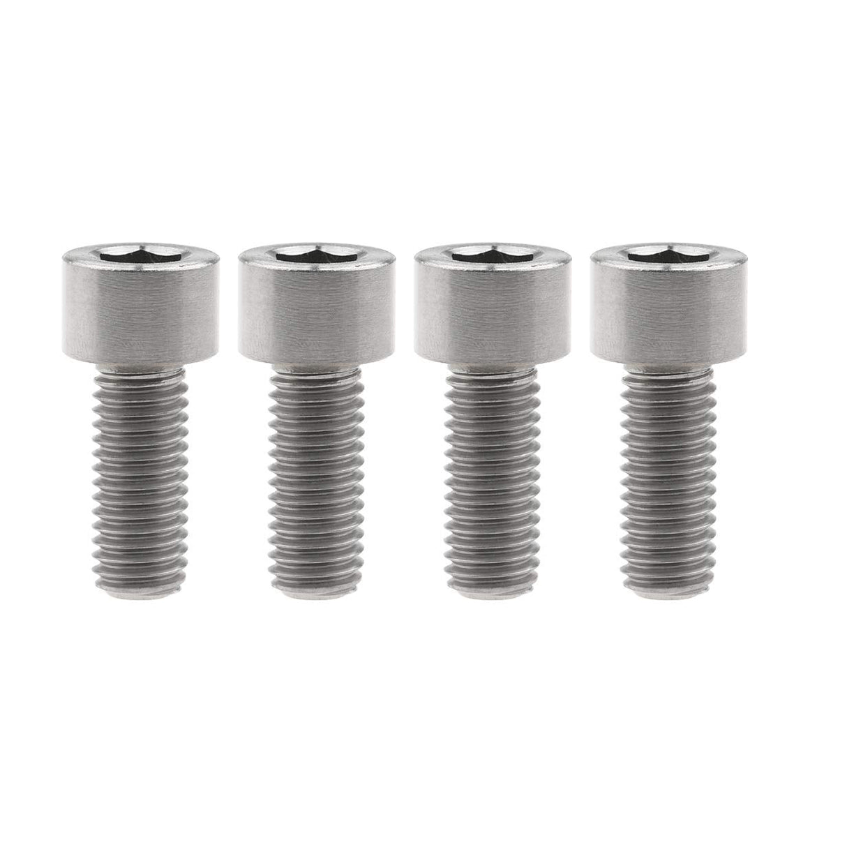 Titanium Motor Bolts - E-Ride Pro ERP SS and S