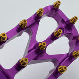 Titanium Elite Foot Peg Screws