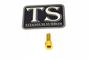 E-Moto Regen Throttle Titanium Bolt