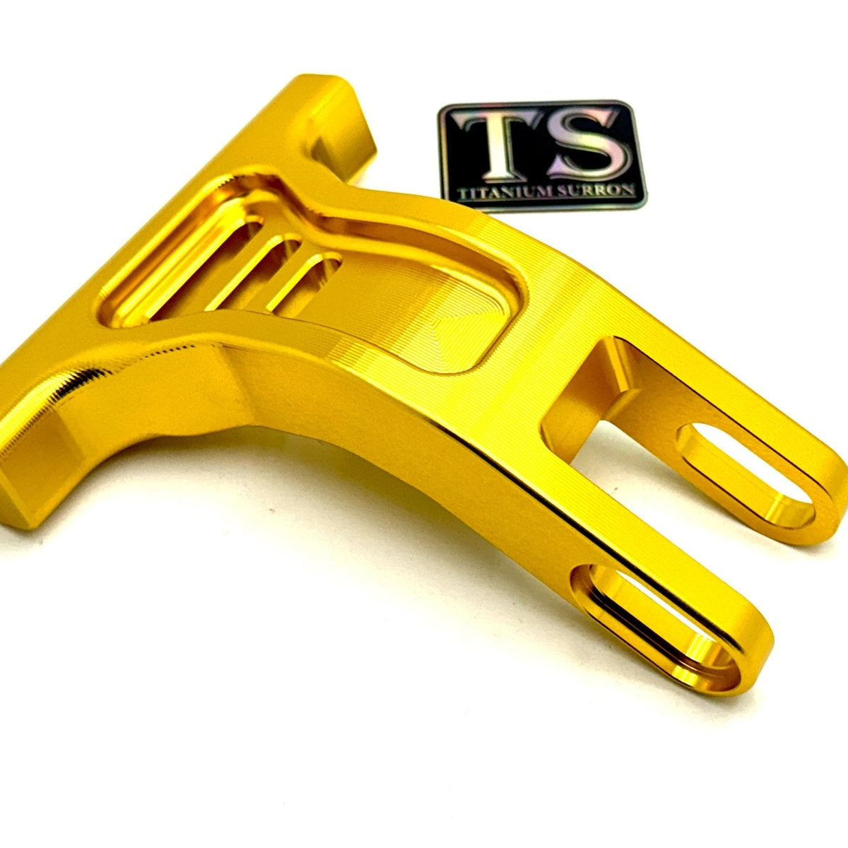 E-Ride Pro Rear Suspension Triangle – Elektrisches Racing