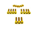 Titanium Bolt Kit for E-Ride Pro SR and Pro SS 3.0 Factory FastAce Fork (ALX32RC)