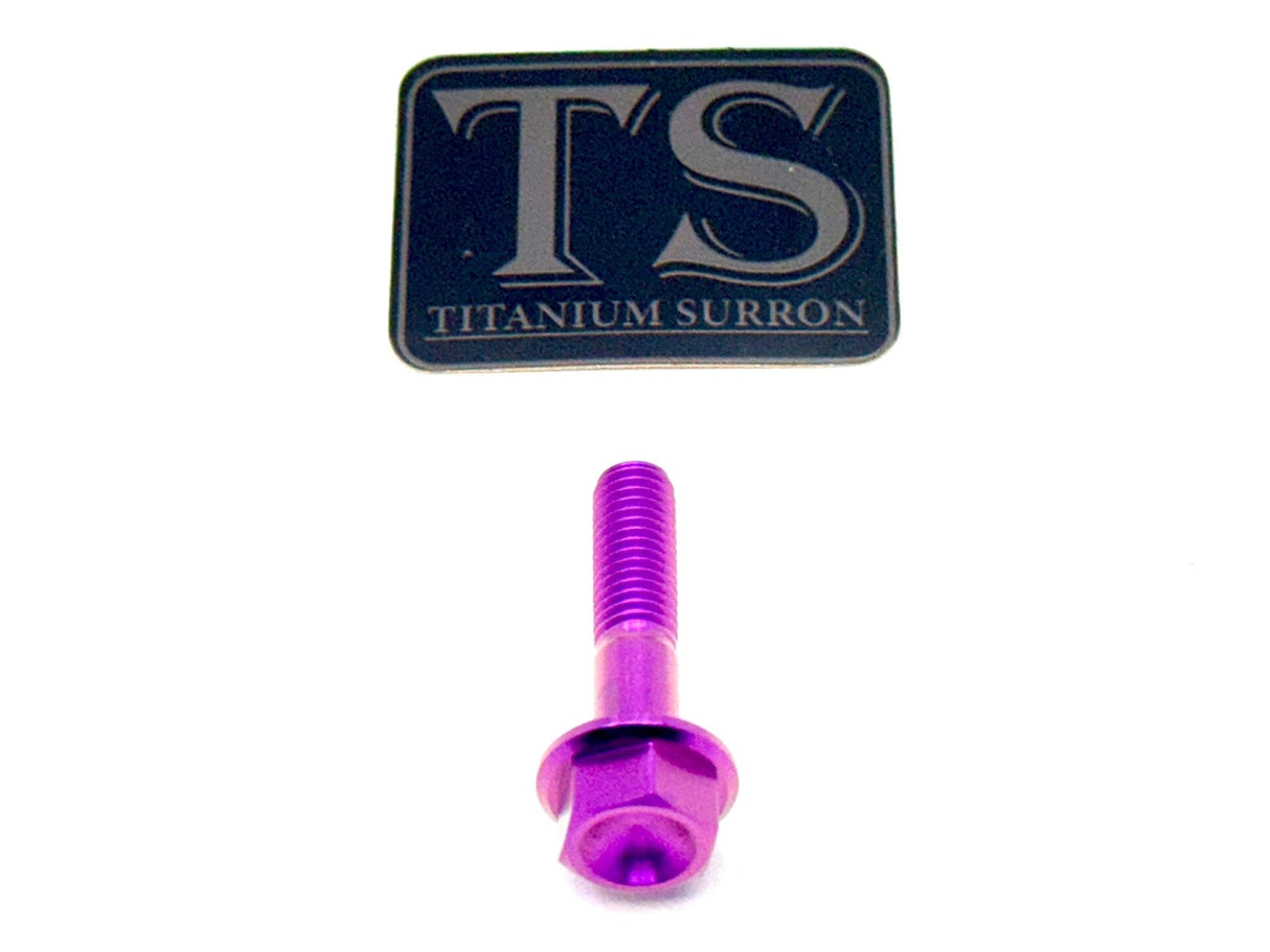 Altis Sigma Drivetrain Cover Custom 6 or 8 Piece Titanium Bolt Kit