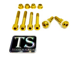 Rear Suspension/ Linkage Bolt Kit for Surron LBX & Segway X260