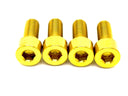Talaria XXX Seat Subframe Titanium Bolts (4)