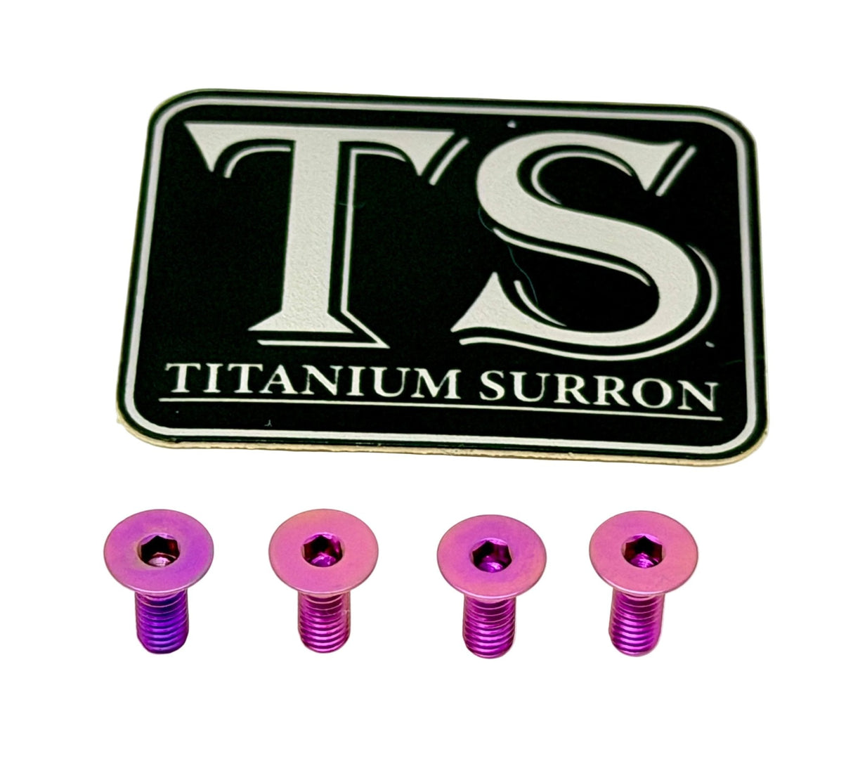Titanium Baja Designs Headlight Cover Plate Bolts (4)