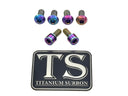 Titanium E-Moto Headlight Mount Bolts