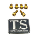 Titanium E-Moto Headlight Mount Bolts