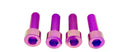 Titanium E-Moto Brake Handle-Mount Bolts