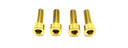 Titanium Formula E-Moto Brake Handle-Mount Bolts