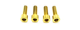 Titanium Formula E-Moto Brake Handle-Mount Bolts