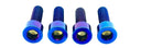 Titanium E-Moto Brake Handle-Mount Bolts