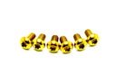 Titanium Side Cover Bolts for Talaria XXX (9 Pieces)