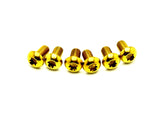 Titanium Side Cover Bolts for Talaria XXX (9 Pieces)