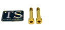 Titanium Motor Bolts - Rerode R1