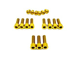 Titanium RFloXa Hawk 35 Pro and Max Fork Bolt Kits (21 pcs)