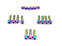 Titanium RFloXa Hawk 35 Pro and Max Fork Bolt Kits (21 pcs)