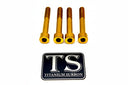 Titanium Stem Bolt Kit Altis Sigma (4 pcs)