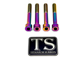 Titanium Stem/ Handlebar Mount Bolts - E-moto
