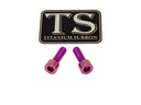 Titanium Surron Ultra Bee Headlight Bracket bolts by Prickly for Baja Squadron
