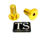 Titanium Talaria Sting Swing Arm Bolts (set of two) Backorder